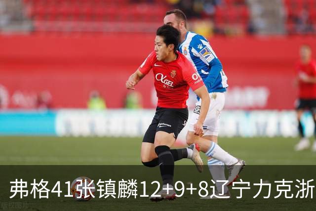 弗格41张镇麟12+9+8辽宁力克浙江 吴前17+9