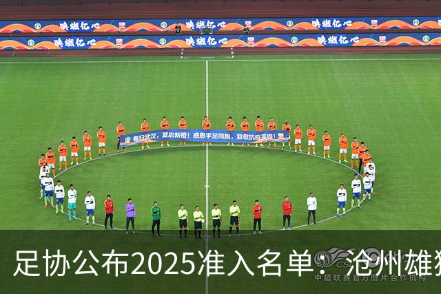 足协公布2025准入名单：沧州雄狮、广州队无缘